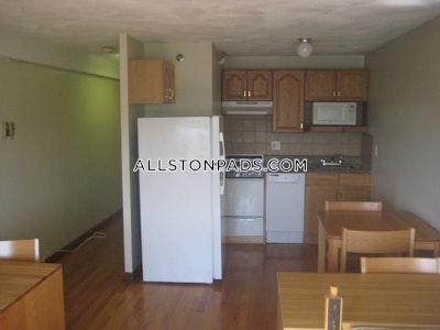 Allston Apartment for rent Studio 1 Bath Boston - $2,150