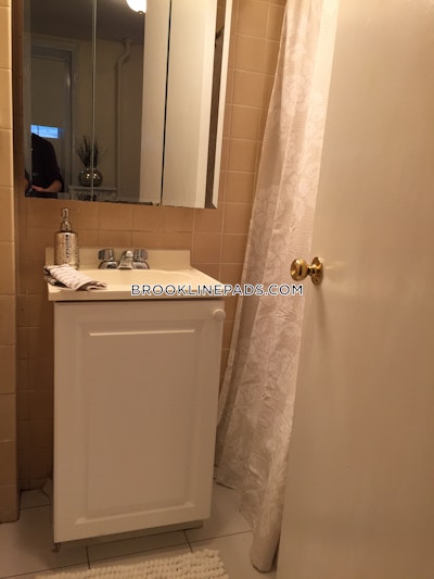 Brookline Apartment for rent Studio 1 Bath  Coolidge Corner - $1,865 No Fee