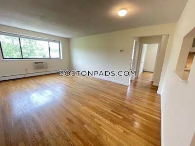 Cambridge 2 Beds 1 Bath  Mt. Auburn/brattle/ Fresh Pond - $2,375