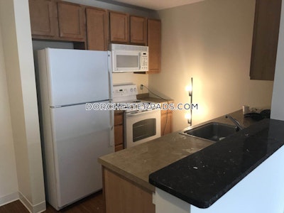 Dorchester Apartment for rent 2 Bedrooms 2 Baths Boston - $6,588 No Fee