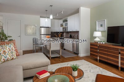 Downtown Apartment for rent 1 Bedroom 1 Bath Boston - $4,111