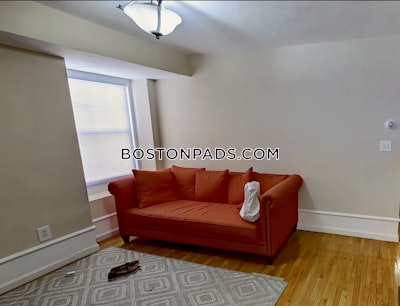 Roxbury Apartment for rent 3 Bedrooms 1 Bath Boston - $5,000