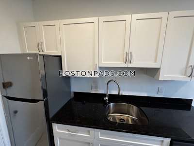 Brighton Apartment for rent 1 Bedroom 1 Bath Boston - $2,560 No Fee