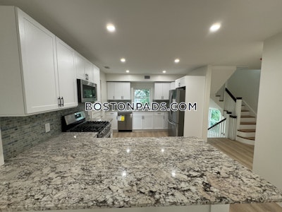 Brighton 3 Beds 2 Baths Boston - $5,400