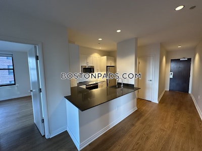 Downtown Apartment for rent 2 Bedrooms 2 Baths Boston - $4,498